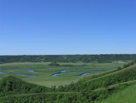 crowfoot_window001007.jpg