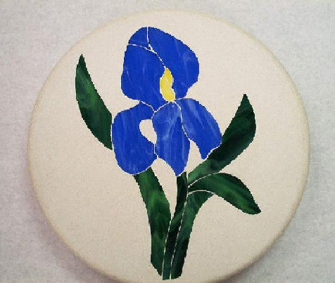 iris_stepping_stone001001.jpg